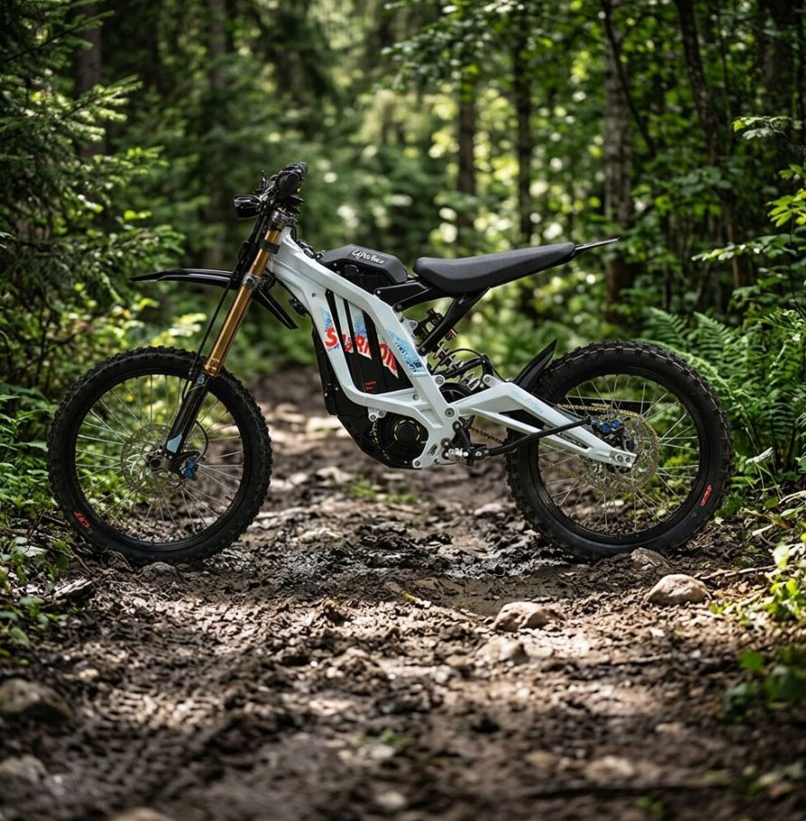 Off Road Dirt Bike Electric Motorcycle